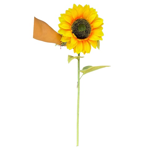 HASTE DE GIRASSOL 1,20M-FLORES