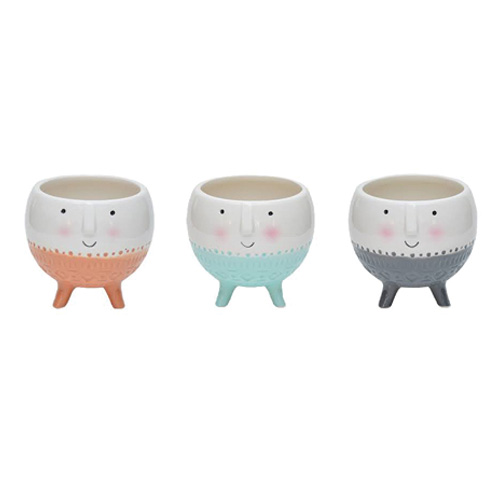 CACHEPOT ROST COL PE M-VASOS E CACHEPOTS