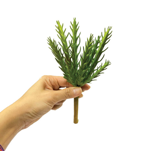 CACTO SUCULENTA ESPINHOSO 19CM-CACTOS E SUCULENTAS