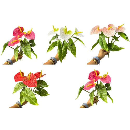 BUQUE DE ANTURIO TOQUE NATURAL 40CM FLORES