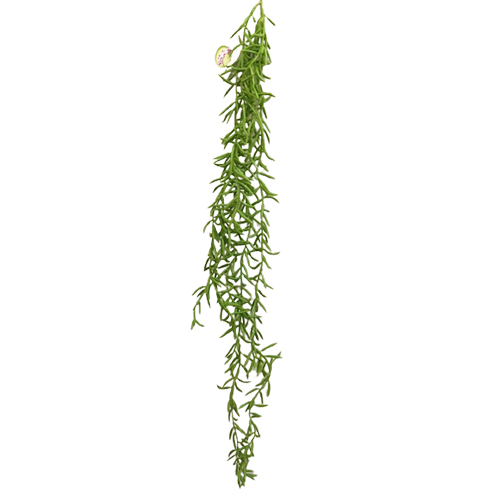 PENDENTE DE SUCULENTA X6 70CM-CACTOS E SUCULENTAS