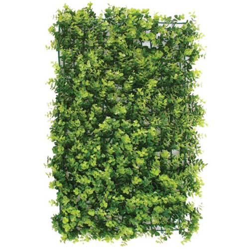 TAPETE DE MINI EUCALIPTO  60X40CM - JARDIM VERTICAL