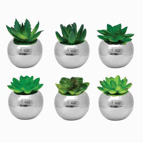 VASO PRATA C/ SUCULENTA 8CM-VASOS E CACHEPOTS