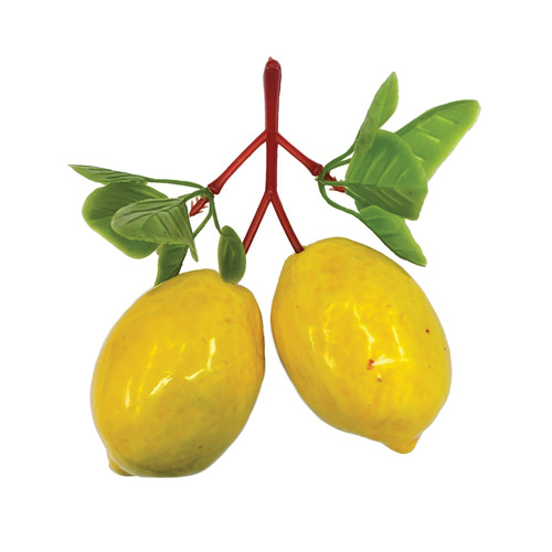 CACHO DE MINI LIMAO SICILIANO FRUTAS E LEGUMES DIVERSOS